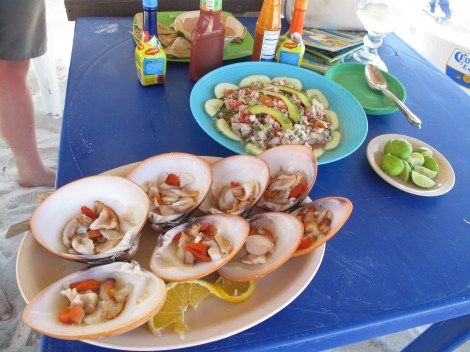 Raw Clams and Civiche