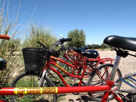 The very popular Mr. Hugo's bikes at Mevi winery