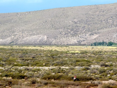 Goucho - in the Rio Grande Valley.  Hours from any town by car. 